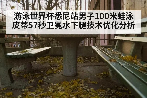 游泳世界杯悉尼站男子100米蛙泳皮蒂57秒卫冕水下腿技术优化分析